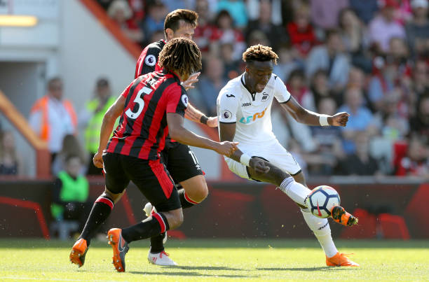 挥重要作用 挥重要作用