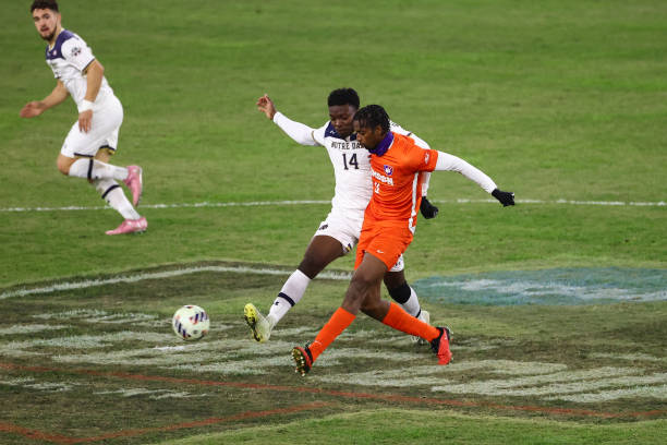 球迷们购买 球迷们购买