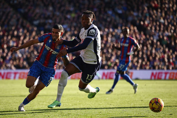 也为绿军提 也为绿军提